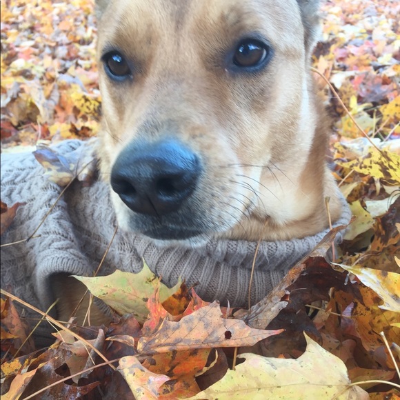 Meet your Posher, Tiffaney - Picture 1 of 1